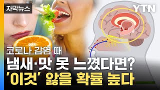 [자막뉴스] 코로나 감염때 '냄새·맛' 못 느꼈다면...'이것' 앓을 확률 높다 / YTN