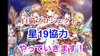 白猫プロジェクト新星19協力やっていきます！