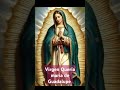 Oración a la virgen  María de Guadalupe #compartir #fe #familia