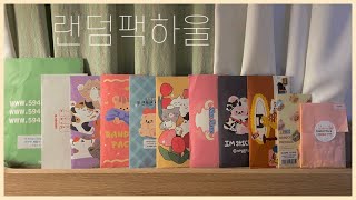 [다꾸템 하울] 또 이만큼이나 사다니...(12만원💸) | 포레스트컴퍼니•일리상점•핫트랙스