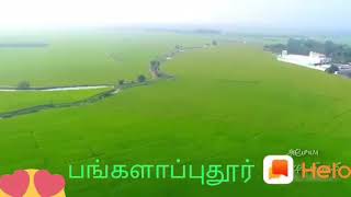 Bungalapudure - Gobichettipalayam - Natural greenish View