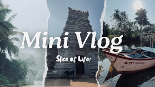 Slice of Life! Series- Shri Brahmi Durgaparameshwari Temple (Kamalashile) - mini vlog