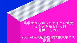 薬学生なら知っておきたい教養　28日目　腎臓の薬物動態学的な見方