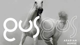 GusGus - Selfoss 'Arabian Horse' Album