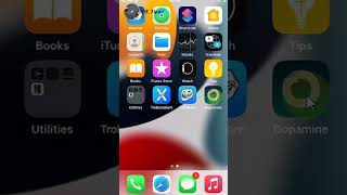 Jailbreak iOS 15.8.3 with Dopamine without PC