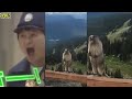 where does the beaver s voice come from