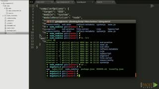 Installation and Setup for Angular 2 0 with TypeScript ES6 3