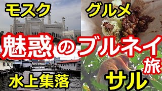 【世界一金持ちな国？】謎の小国ブルネイに行ってきた！【世界一周】