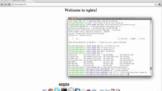 WordPress Setup in Less Than 3 Minutes with SSH