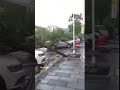 After Typhoon Mangkhut in Shenzhen China 16.09.2018