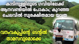 കാടിനുള്ളിലൂടെ ഗവിയിലേക്ക് ആനവണ്ടിയിൽ പോകാം; കുറഞ്ഞ ചെലവിൽ സുരക്ഷിതമായ യാത്ര |