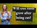 Will tree roots grow after being cut?