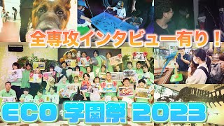 東京ECO学園祭2023開催！【TCA東京ECO動物海洋専門学校】