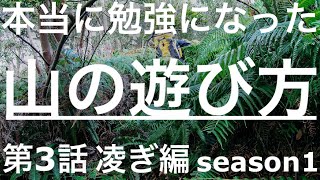 【山の遊び方】登山道を外れてシダジャングルを凌ぐと山の歴史を知りました。第三話　凌ぎ編［4K］