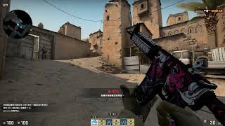 CS:GO - M4A4 | Neo-Noir  showcase