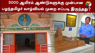 3000 ஆயிரம் ஆண்டுகளுக்கு முன்பான பழந்தமிழர் வாழ்வியல் முறை எப்படி இருந்தது? | History Of Tamil | PTT