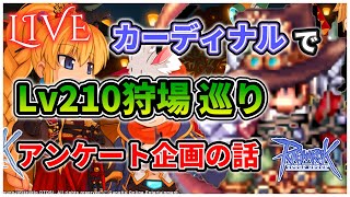 「カーディナルでLv210狩場へ！アンケート企画を始めた話」1/27 日常RO【RO-ラグナロクオンライン】