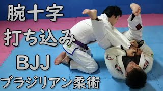 腕十字打ち込み練習 #BJJ #ブラジリアン柔術 #新潟市