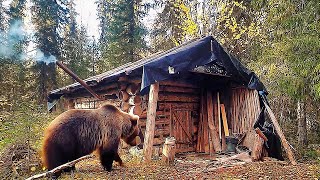 My Worst Nightmare Came TRUE 🐻 | A Bear Tried to Break Into My Wooden Cabin & I Was Trapped Inside!
