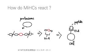 再　0106 G7 minor histocompatibility complex