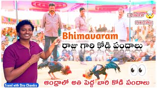 Bhimavaram Raju Gari Kodipandalu 🐓|| World famous #telugu#travel#india#sankranthi#2025#india#chicken