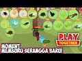 play together menangkap serangga terbaru banyak dapat mahkota!