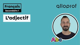 L’adjectif | Français | Alloprof