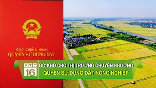 Gỡ khó cho thị trường chuyển nhượng quyền sử dụng đất nông nghiệp | VTC16