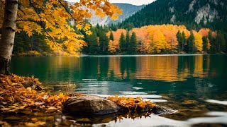 Cozy Autumn Morning \u0026 Fall Ambience🍂Relax and Unwind with Peaceful Relaxing Music ~ Autumn November