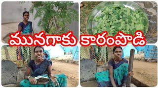 munagaku karampudi మన ఆరోగ్యానికి ఎంతో మేలు చేసే మునగాకు కారంపొడి Vijayalakshmi village home