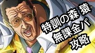 特訓の森 猿 無課金パ 攻略【トレクル】【OPTC】【원피스 보물 크루즈】