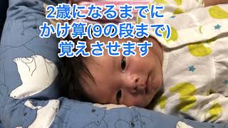 新企画始動【生後60日目、60 days old】