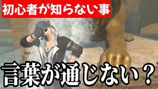 【FF14】チャットを見ない初心者と一緒になった時どうすれば良いのか？