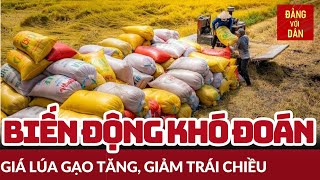 Giá lúa gạo tăng, giảm trái chiều | Tin tức giá cả thị trường chiều 21/2/2025 | Đảng với Dân