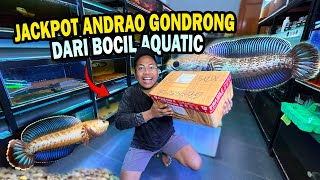 DAPAT DARI BOCIL?? UNBOXING CHANNA ANDRAO GONDRONG CALON GACOAN KONTES