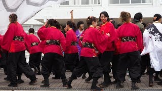 江刺華舞斗２回目 ヤートセ秋田祭 in 秋大祭2017