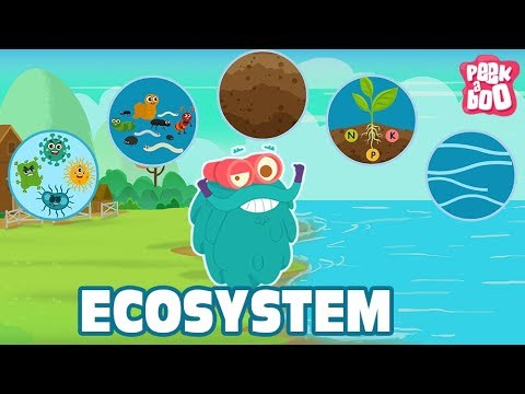 What are the three parts of an ecosystem?