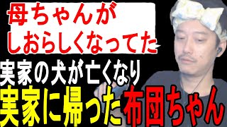 不幸が立て続けに起き、実家に帰った布団ちゃん【2023/10/19】