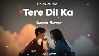 Tere Dil Ka Mere Dil Se Slowed Reverb Song | Sonu Nigam | Himesh Reshammiya | Dhruv Sharma |