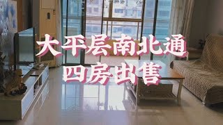 深圳罗湖区莲塘，四房两厅两卫出售，小高层带电梯大平层南北通透