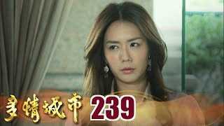 多情城市 EP239 三天內還錢｜Golden City