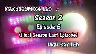 MaxBloom vs High Bay LED Grow Light S2E5