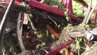 Récolteuse à carottes avec crowning system / Carrot Harvest with crowning system - Univerco -