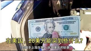 20美元在美国能买到什么？惊叹美元的购买力，装了满满一后备箱！