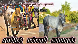 Sambal Pallam Bypass 🔥 Vellore and Krishnakiri District KING 👑 #erthukattu #erthukattu #vellore 💓🤘