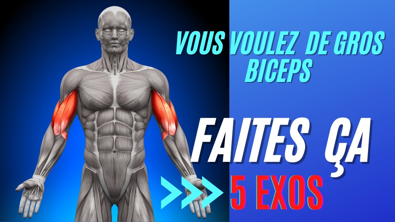 5 Exercices Pour Avoir De Gros Biceps - YouTube