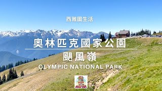 「西雅圖生活」Hurricane Ridge, Olympic National Park 颶風嶺是奧林匹克國家公園很受歡迎的景點在那裡可以走什麼步道 難度多少看到什麼如何到達座哪趟渡輪路上多長時間有