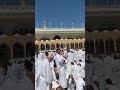 2k24 #hajj2024 #madina #madinah #pakistan #saudiarabia #shortvideo #shorts makkah live madina live