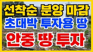 안중 호재 가득한 초대박 급매물 토지 투자로 부자되세요 010-3391-6663