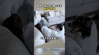 発作を起こした飼い主を助ける忠犬